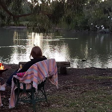 The Burrow At Wombat Bend Villa Dixons Creek Bagian luar foto