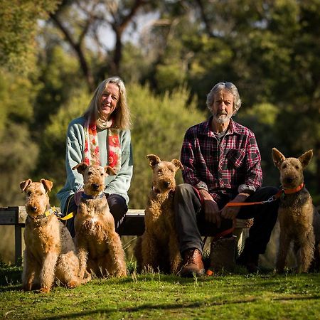 The Burrow At Wombat Bend Villa Dixons Creek Bagian luar foto
