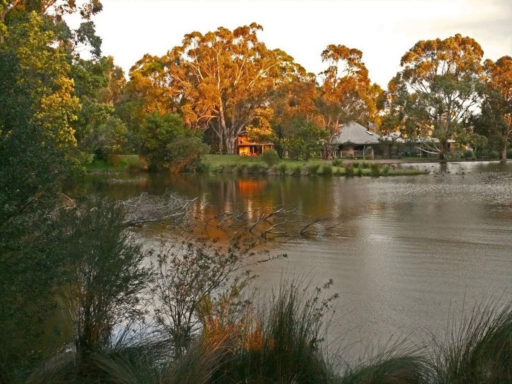 The Burrow At Wombat Bend Villa Dixons Creek Ruang foto