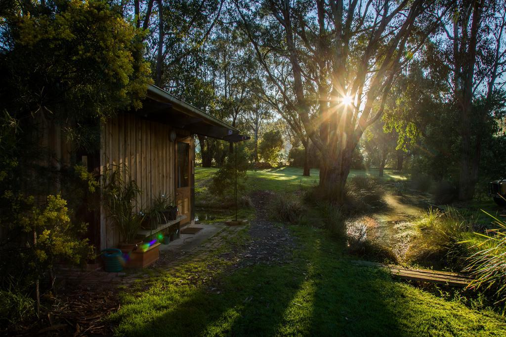 The Burrow At Wombat Bend Villa Dixons Creek Bagian luar foto