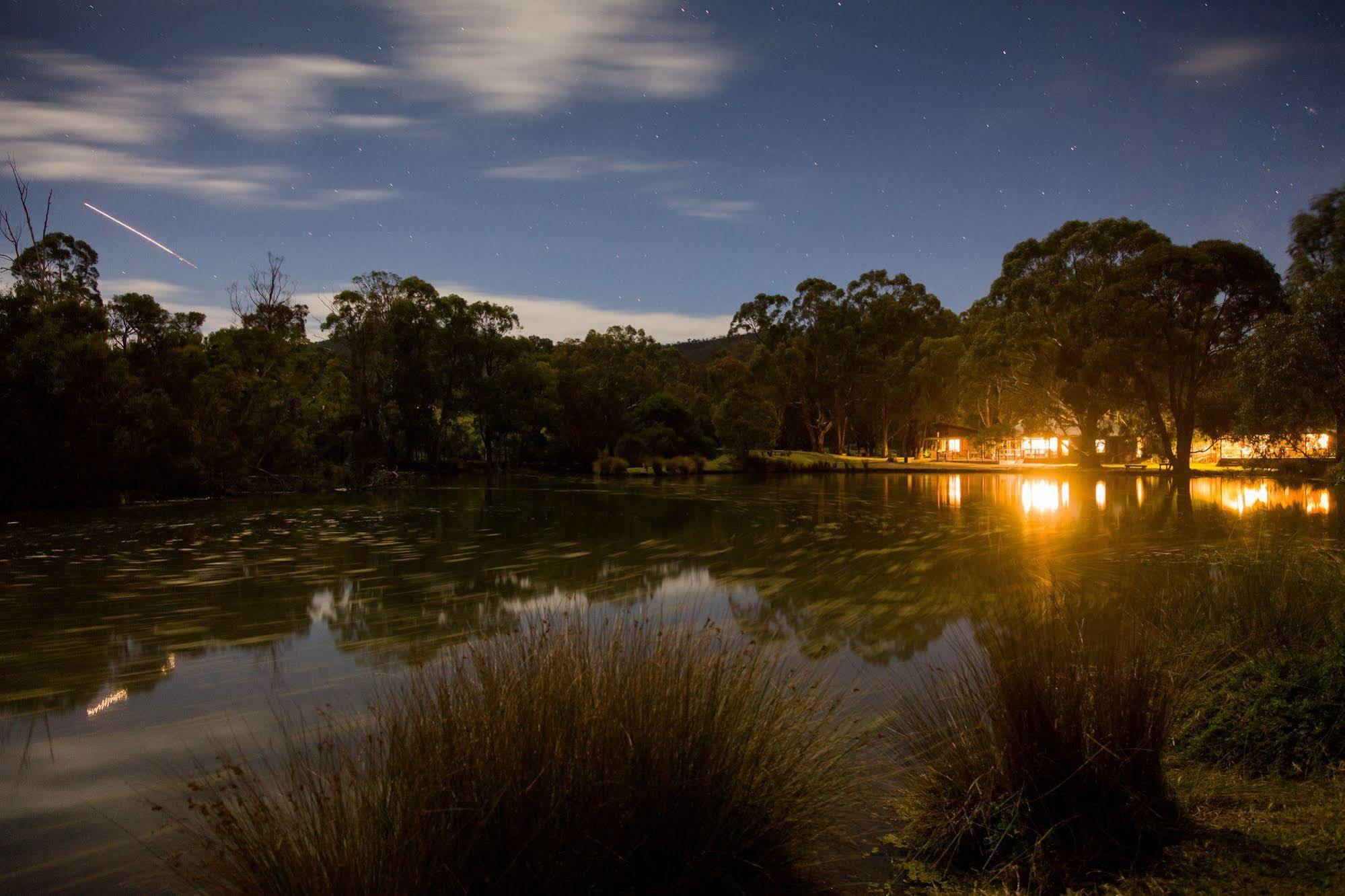The Burrow At Wombat Bend Villa Dixons Creek Bagian luar foto