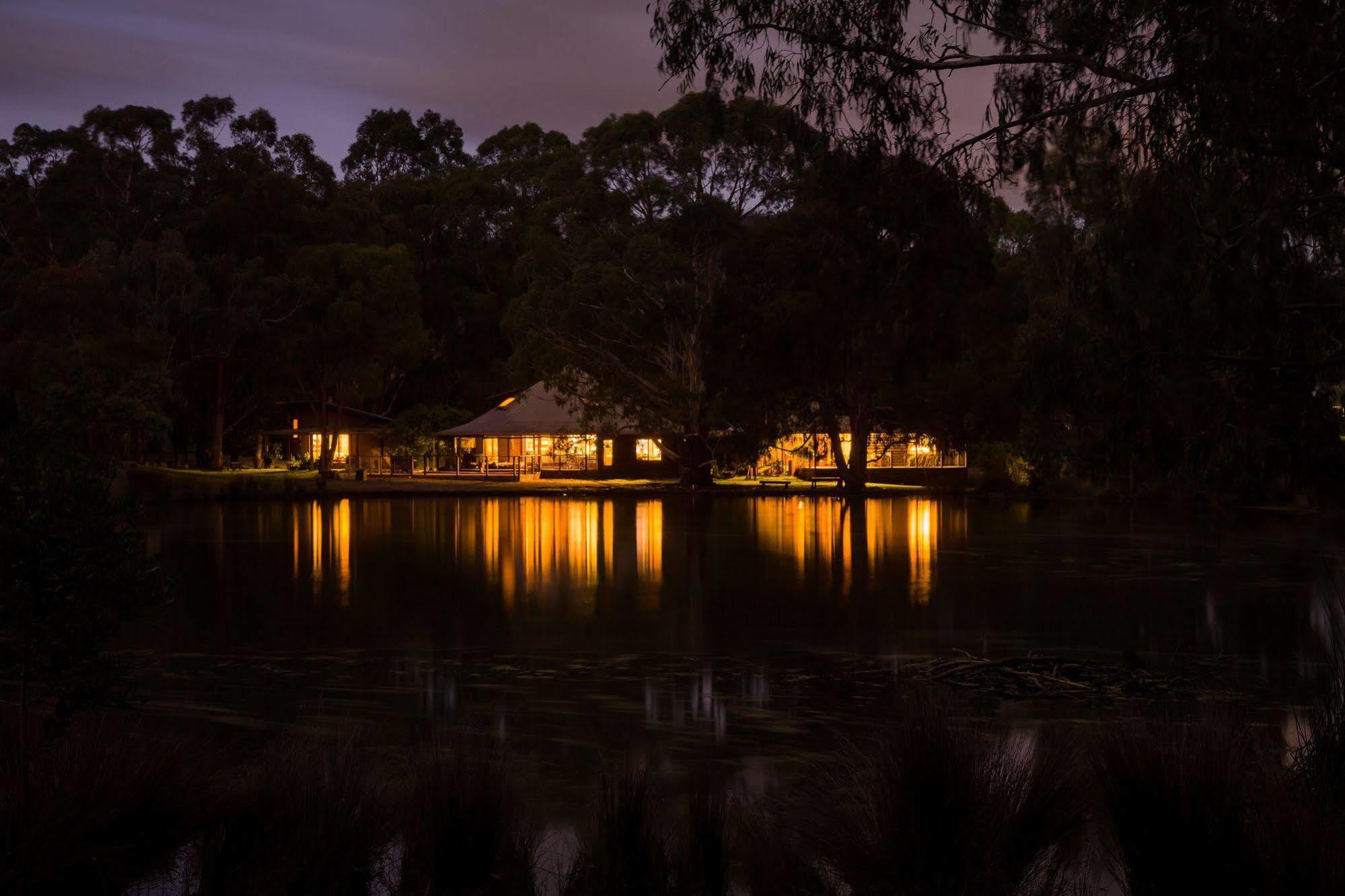 The Burrow At Wombat Bend Villa Dixons Creek Bagian luar foto