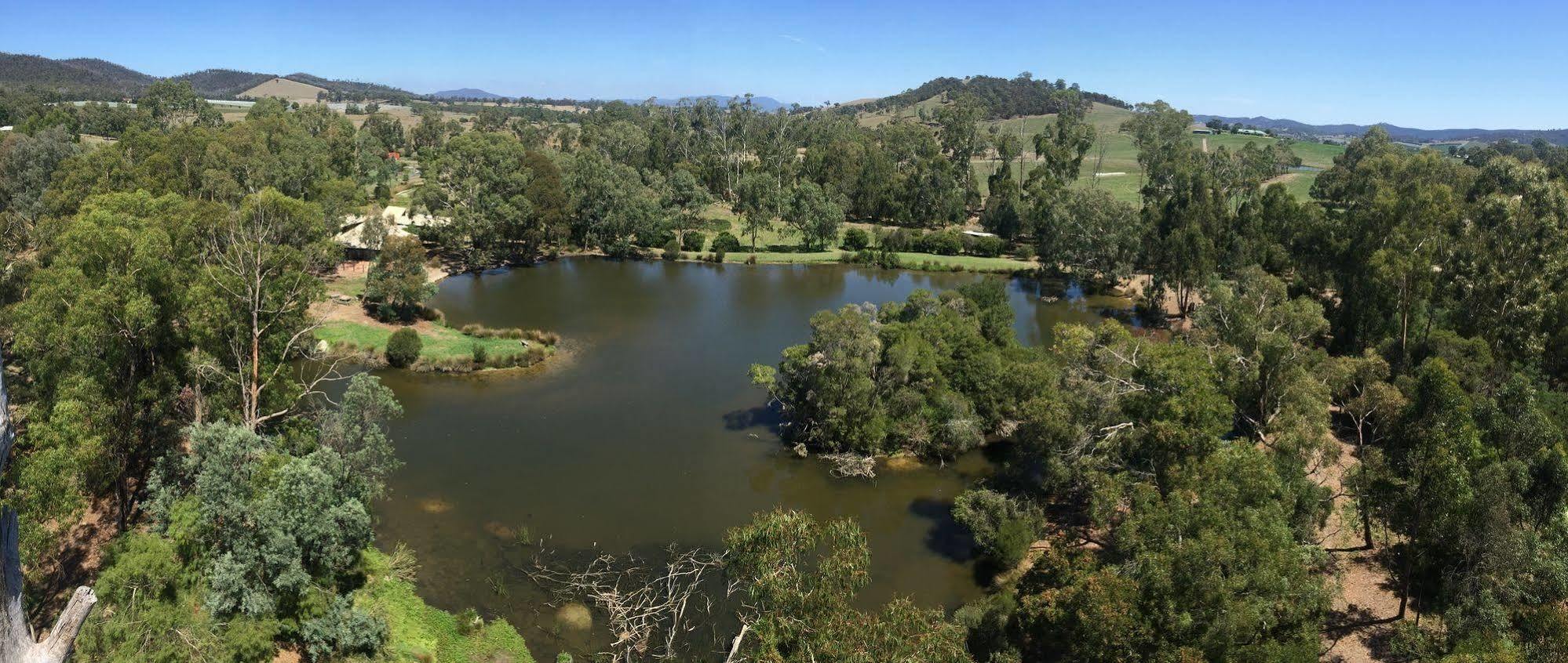 The Burrow At Wombat Bend Villa Dixons Creek Bagian luar foto