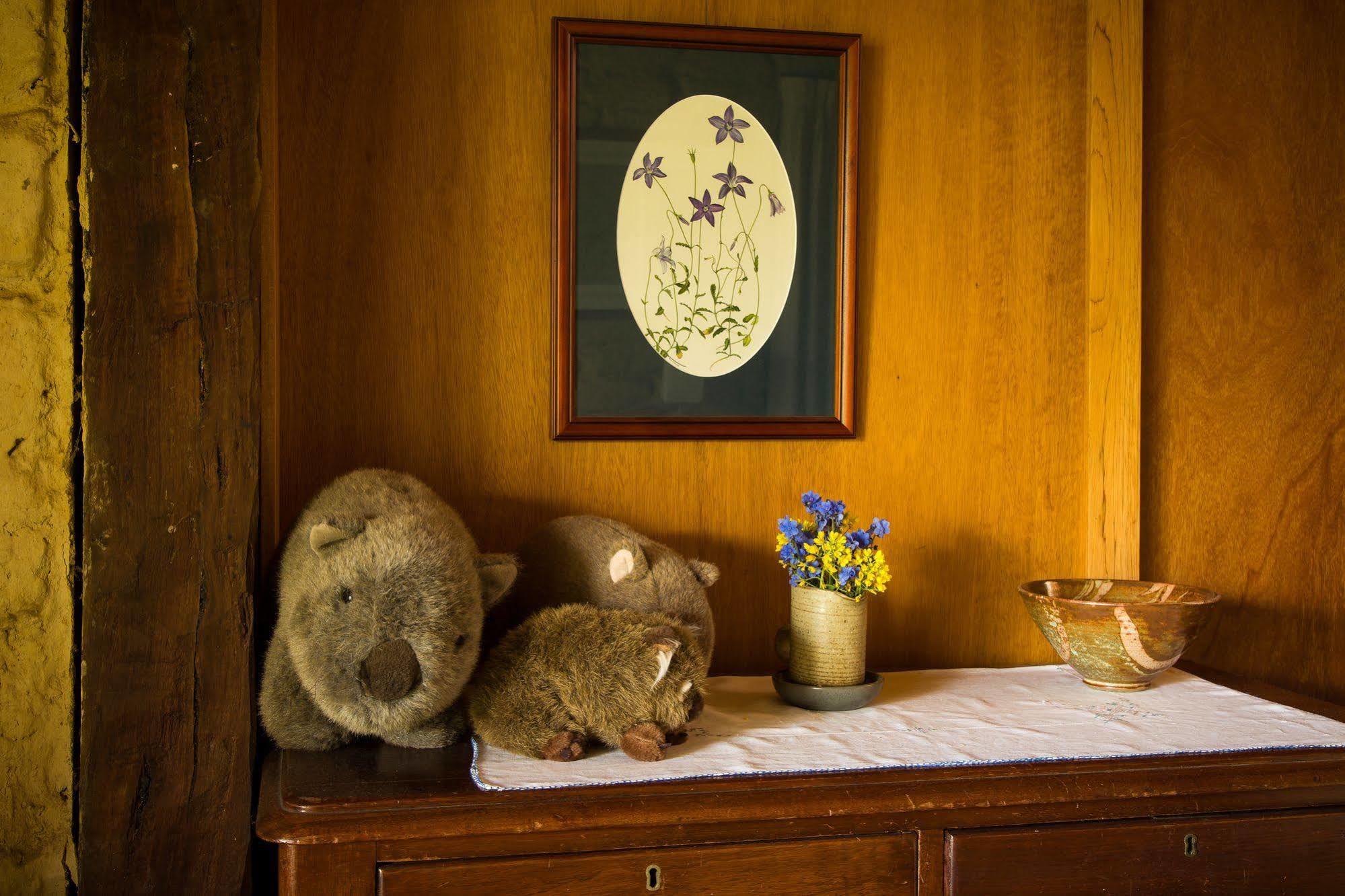 The Burrow At Wombat Bend Villa Dixons Creek Bagian luar foto