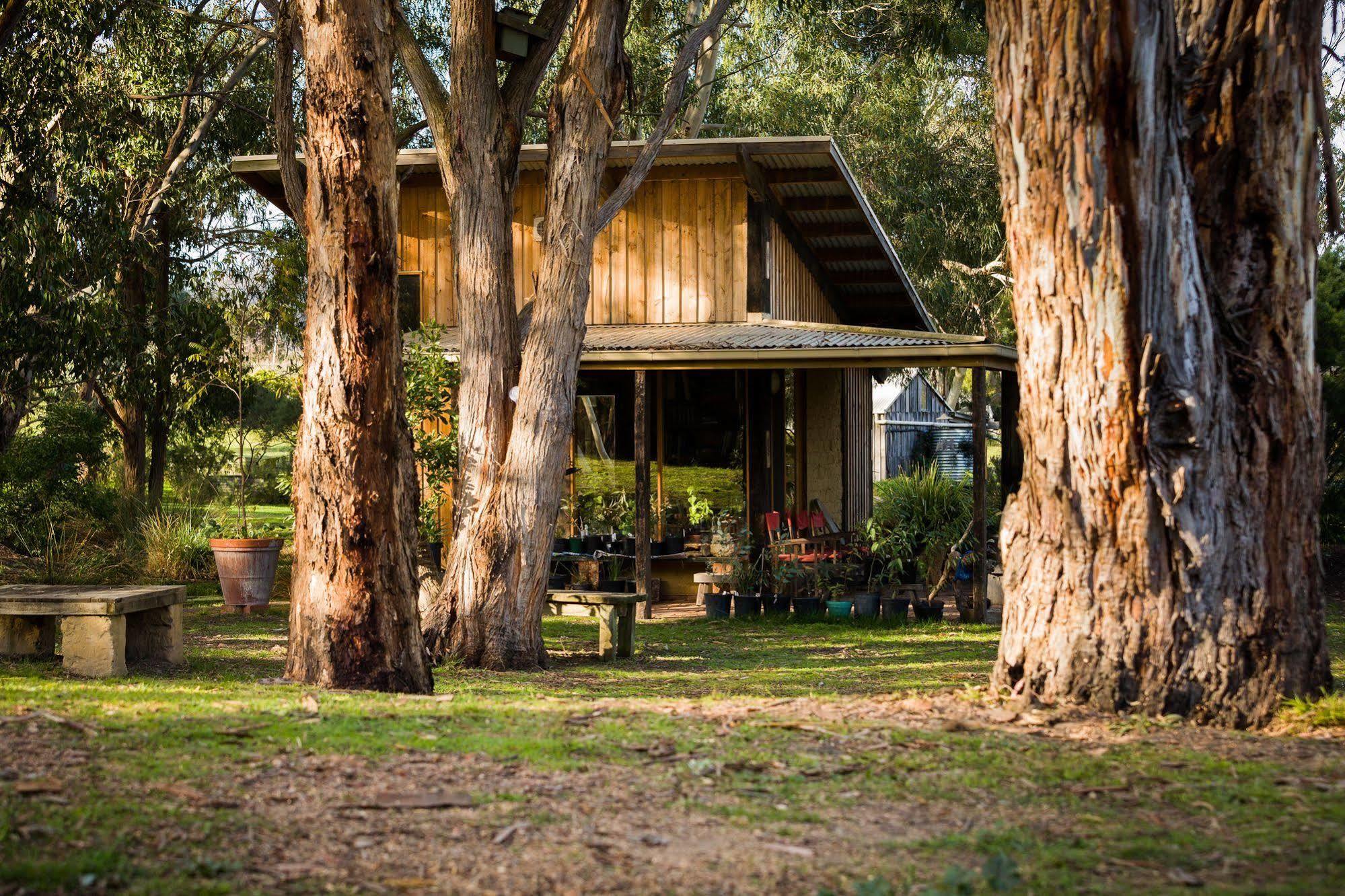 The Burrow At Wombat Bend Villa Dixons Creek Bagian luar foto