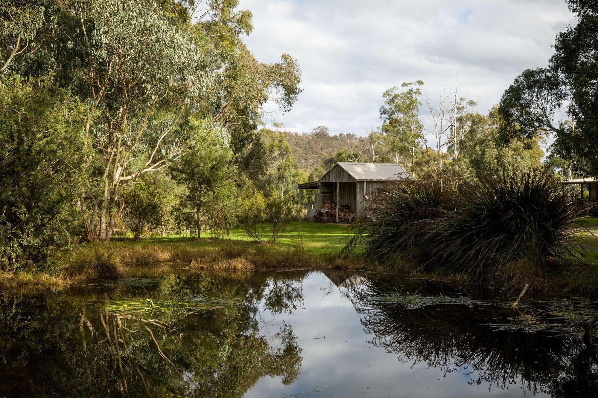 The Burrow At Wombat Bend Villa Dixons Creek Bagian luar foto