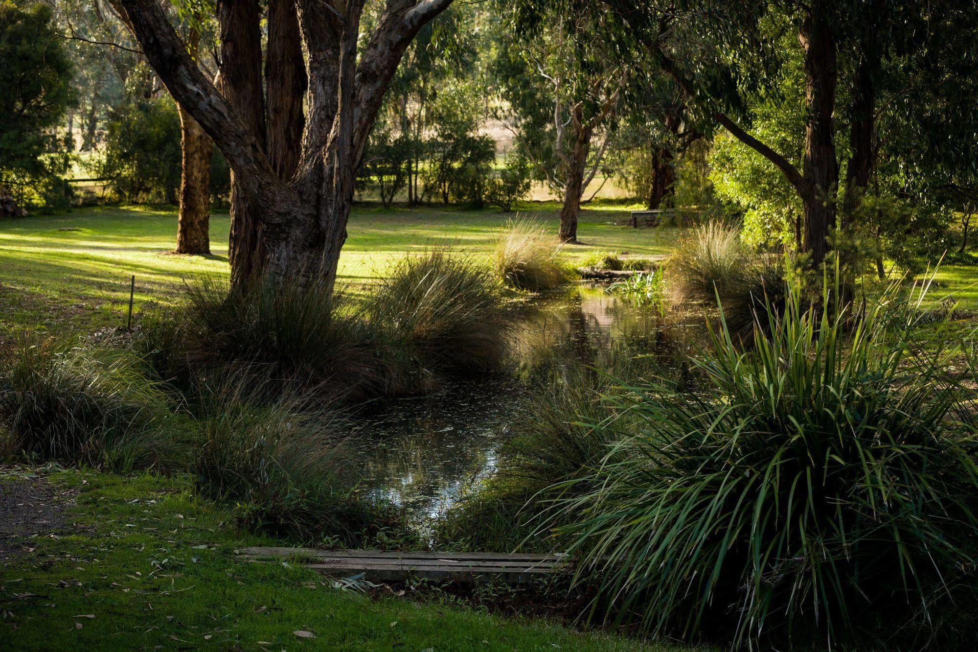 The Burrow At Wombat Bend Villa Dixons Creek Bagian luar foto