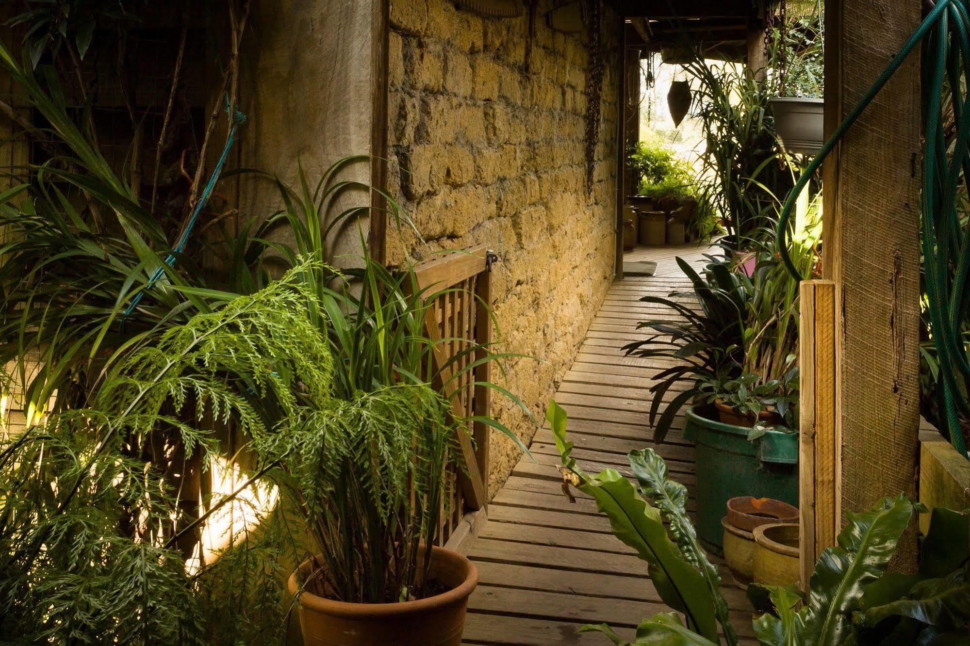 The Burrow At Wombat Bend Villa Dixons Creek Bagian luar foto