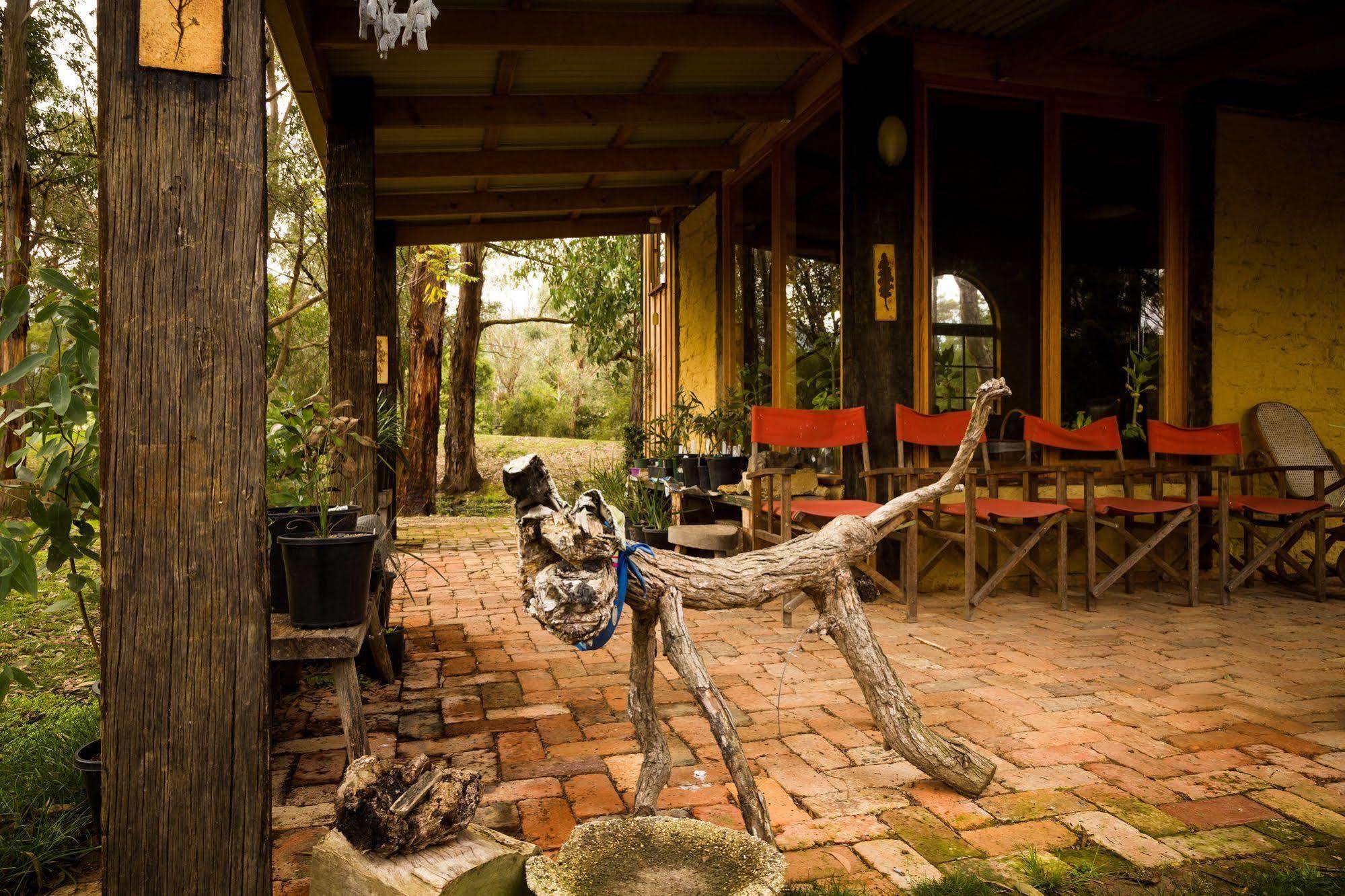 The Burrow At Wombat Bend Villa Dixons Creek Bagian luar foto