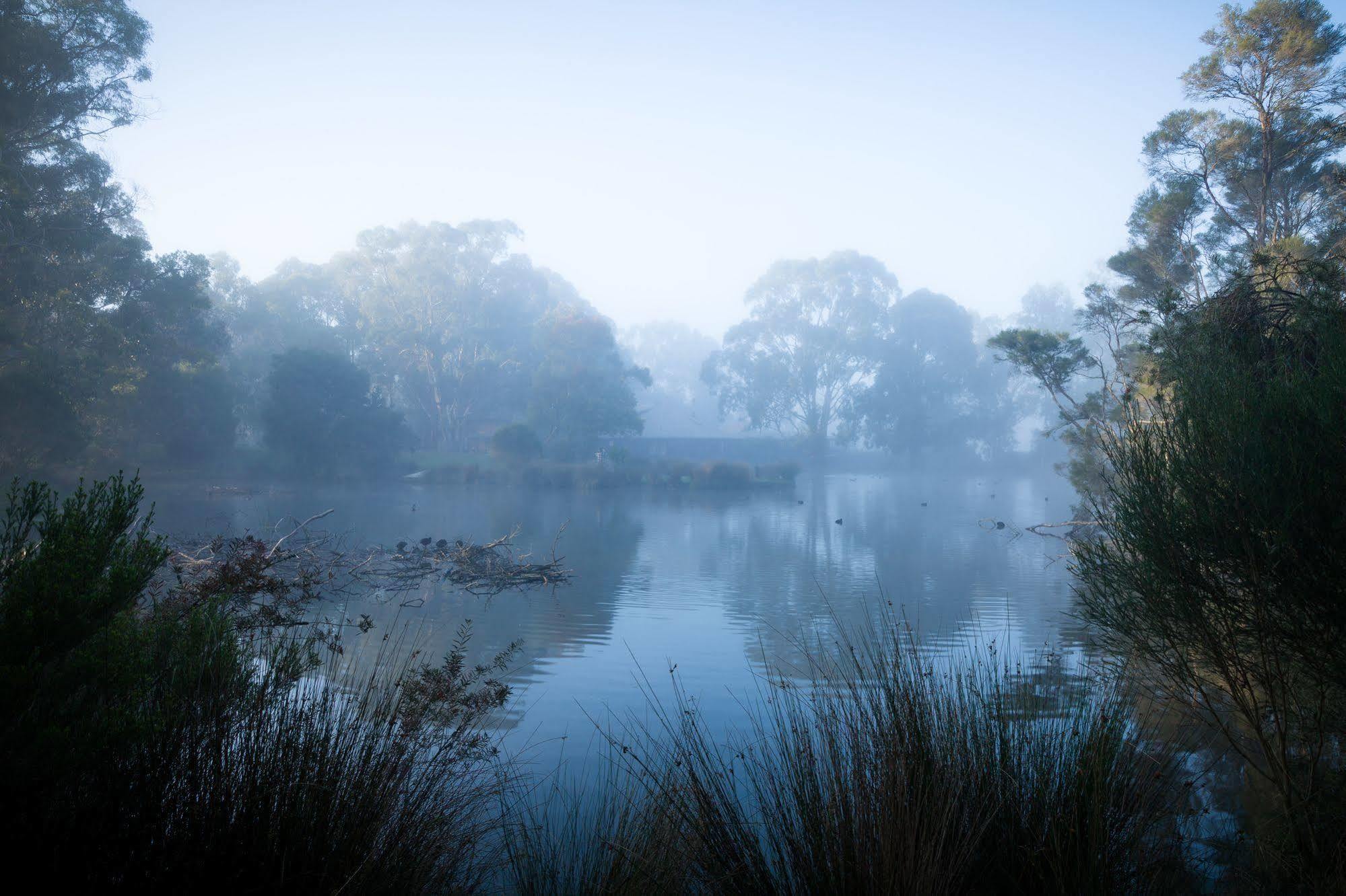 The Burrow At Wombat Bend Villa Dixons Creek Bagian luar foto