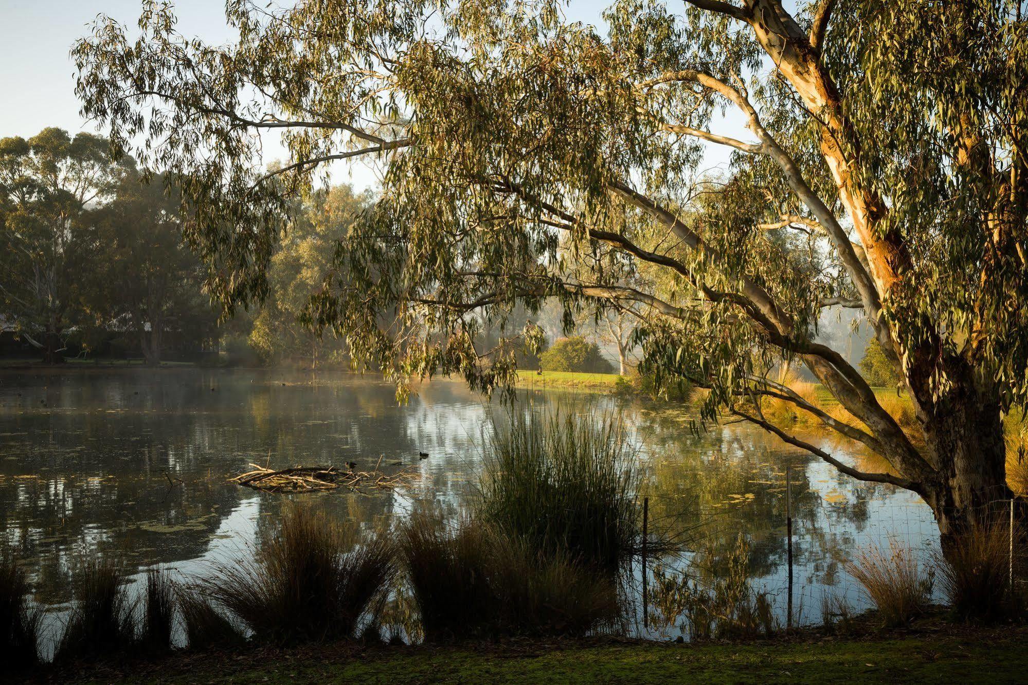The Burrow At Wombat Bend Villa Dixons Creek Bagian luar foto