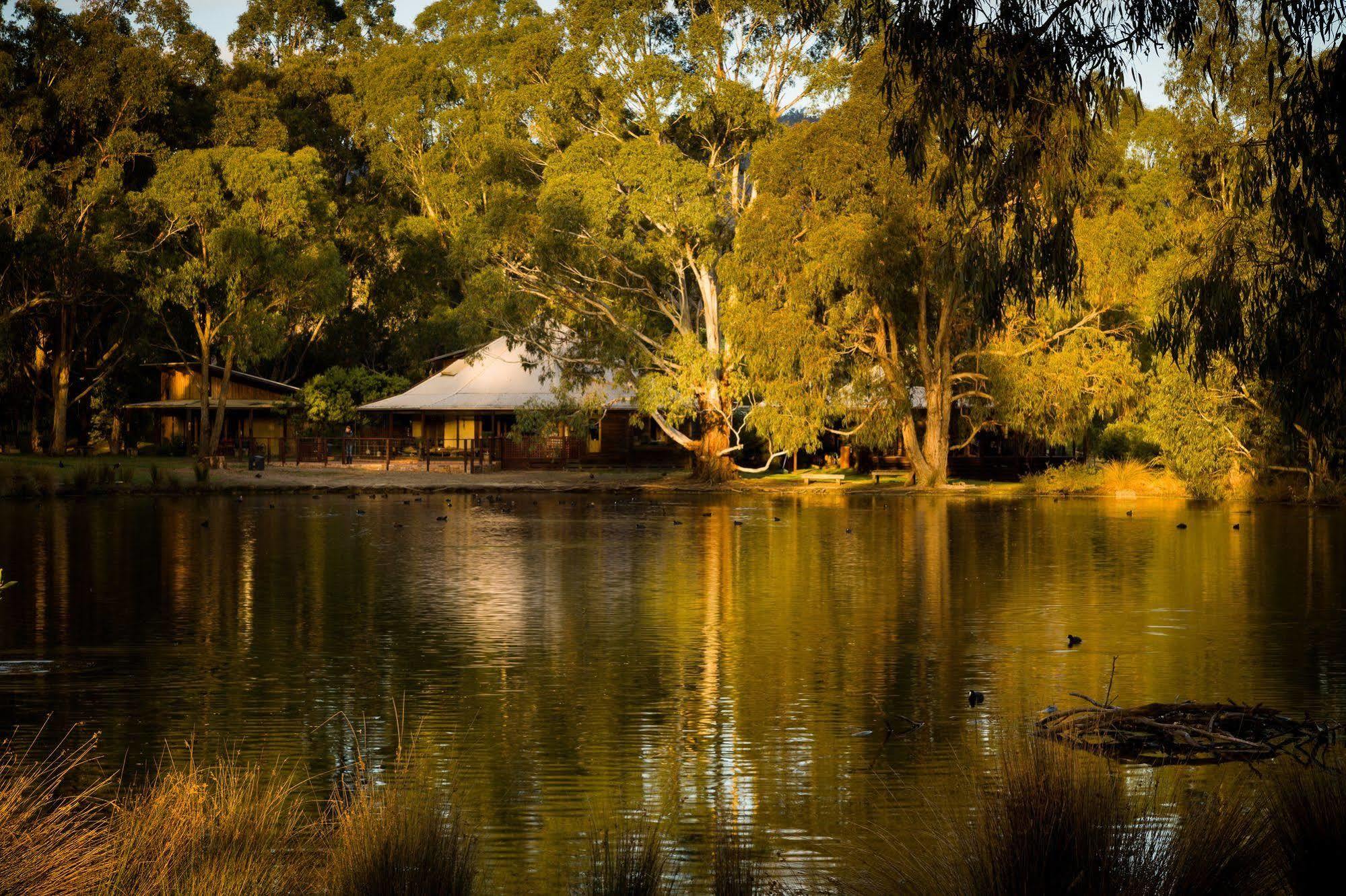 The Burrow At Wombat Bend Villa Dixons Creek Bagian luar foto